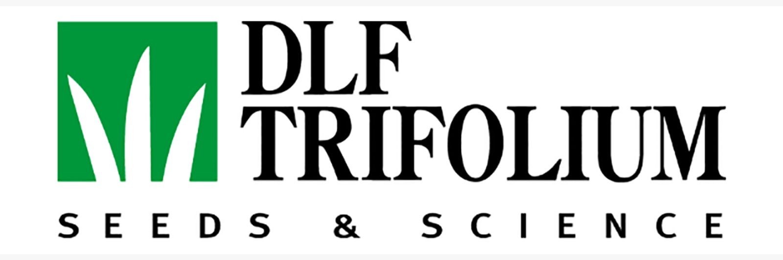 DLF Trifolium